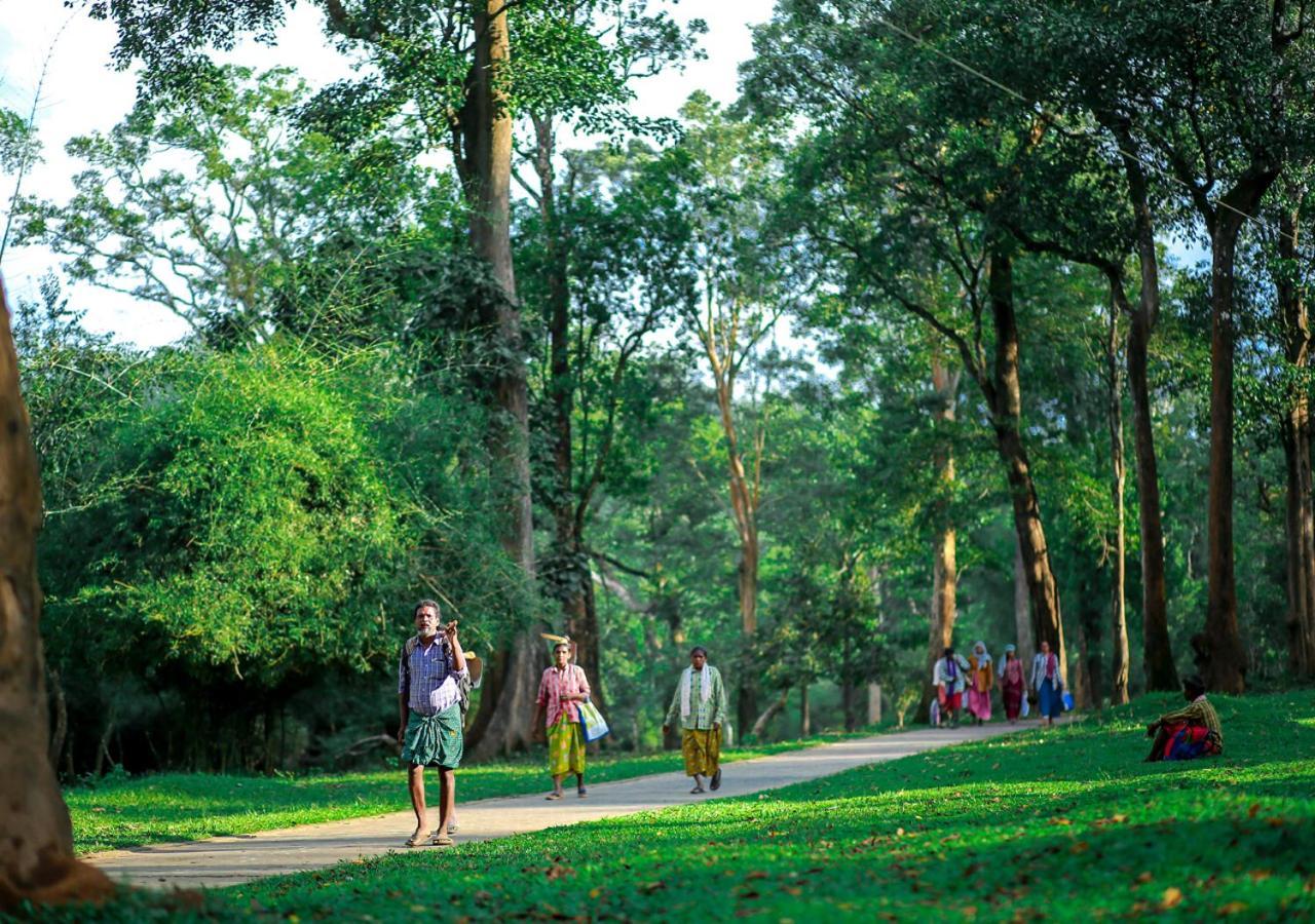 Tusker Inn Wayanad Forest Villa By Voye Homes Extérieur photo