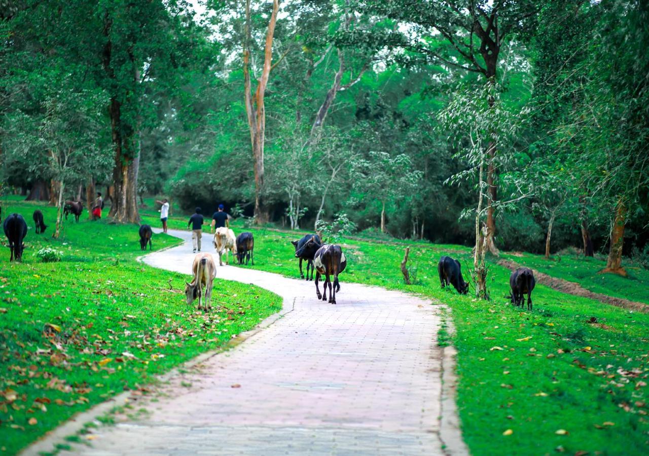 Tusker Inn Wayanad Forest Villa By Voye Homes Extérieur photo