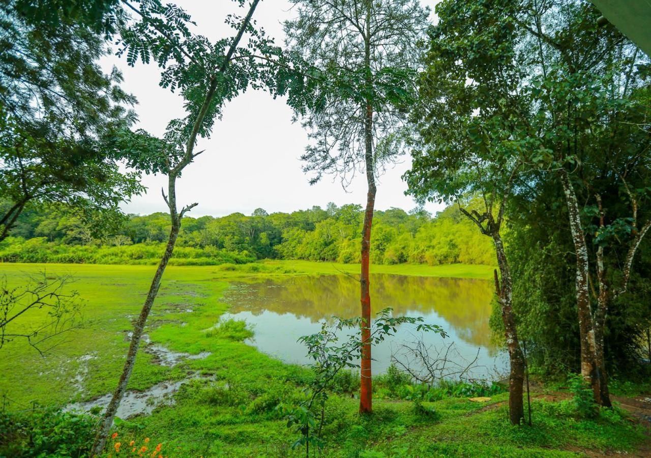 Tusker Inn Wayanad Forest Villa By Voye Homes Extérieur photo